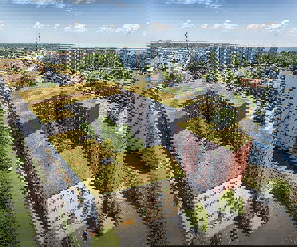 mandolingatanpng.jpg