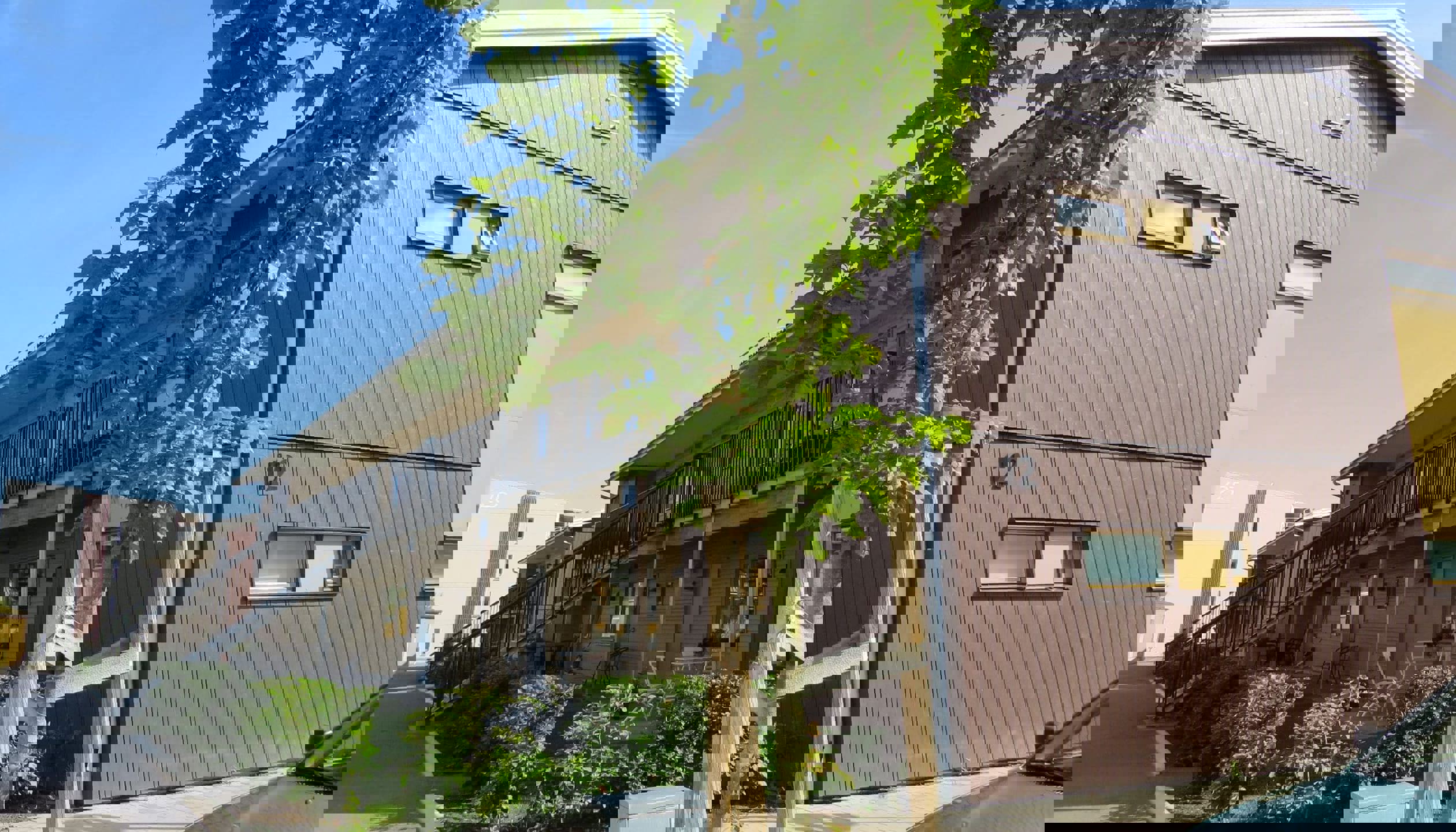 bjoerkris-f-kungsbacka.jpg