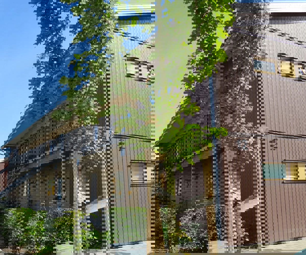 bjoerkris-f-kungsbacka.jpg (1)